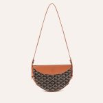 Goyard Hirondelle Bag Black & Tan - Image 2